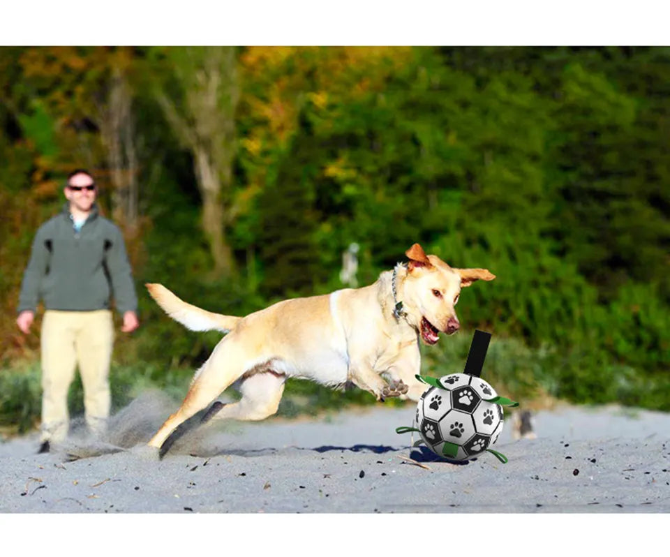 Pelota futbol perro con inflador