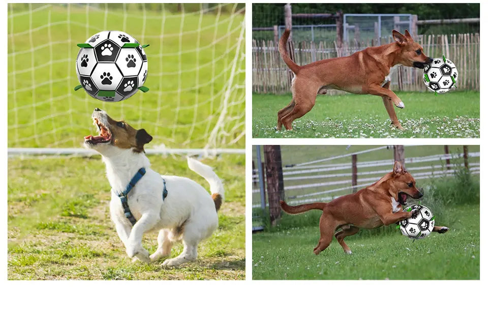 Pelota futbol perro con inflador