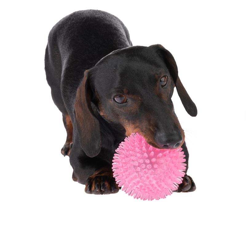 Pelota con pinchos