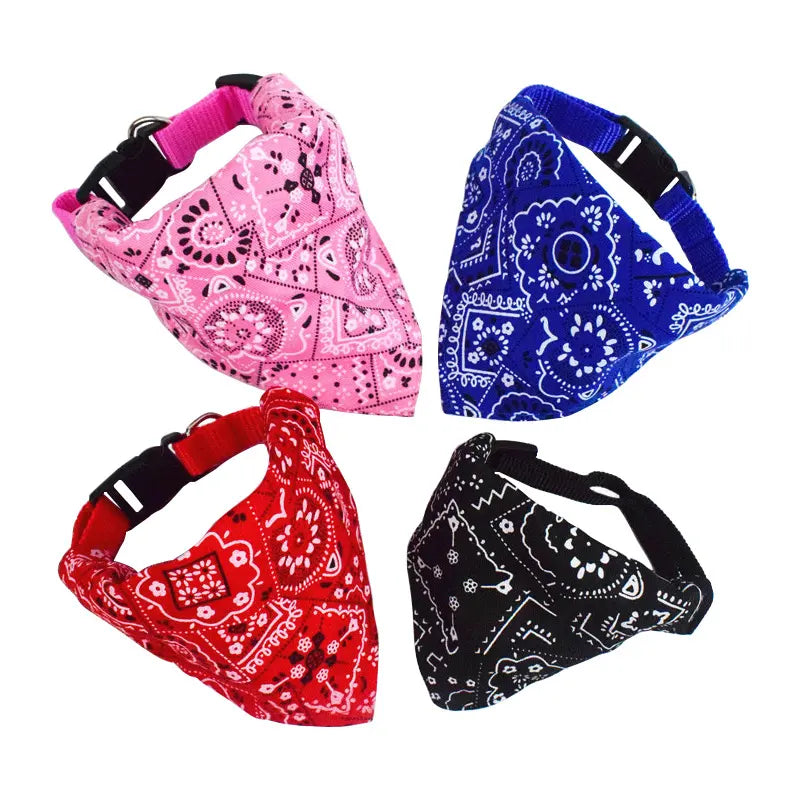 Collar perro con bandana