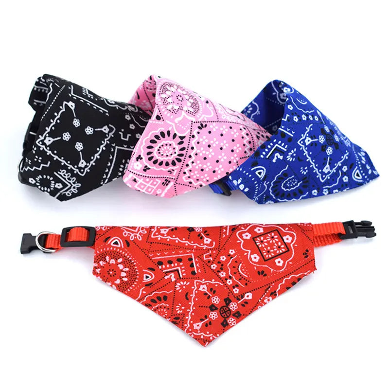 Collar perro con bandana