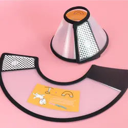 Collar isabelino para mascotas