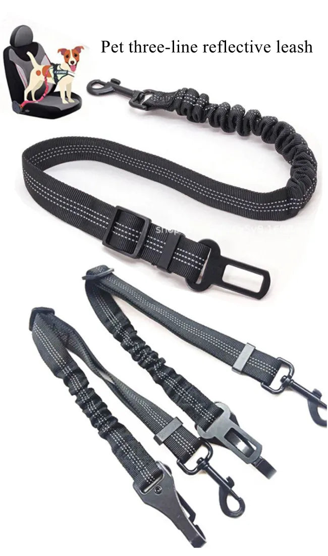Cinturón de seguridad de coche para perros