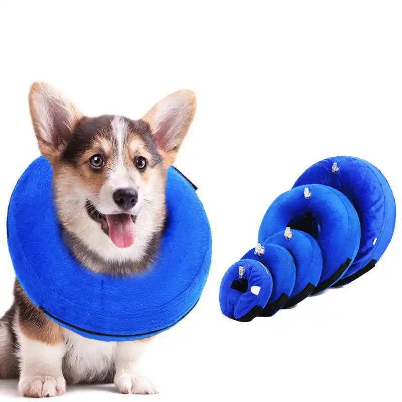 Collar de recuperación inflable para tu mascota