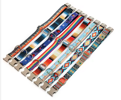 Collar perro multicolor