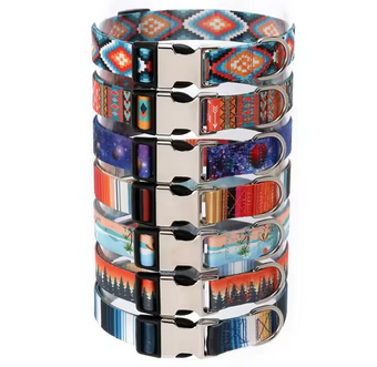 Collar perro multicolor