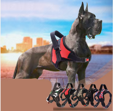 Arnes para perros