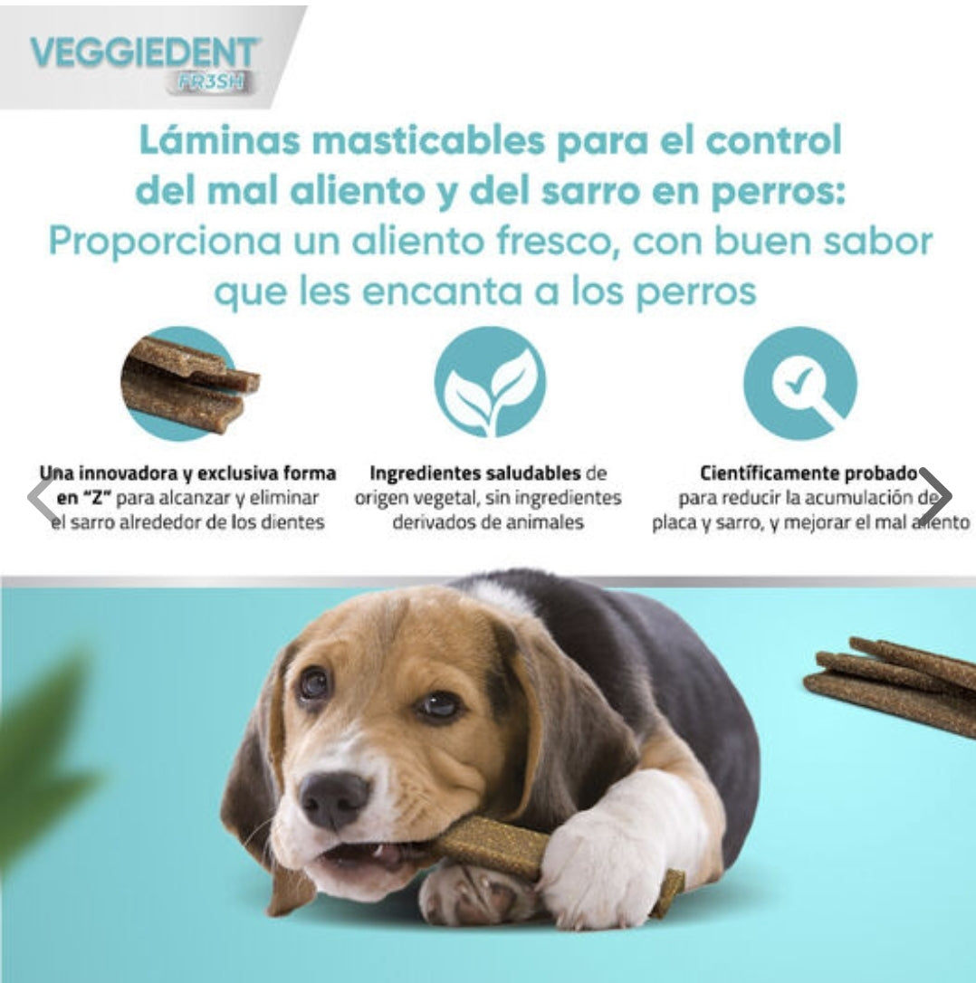 Snack Veggiedent Fresh - VIRBAC