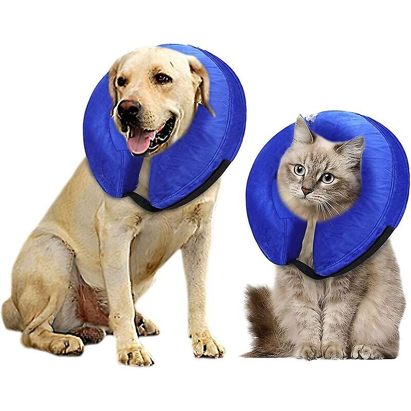 Collar de recuperación inflable para tu mascota