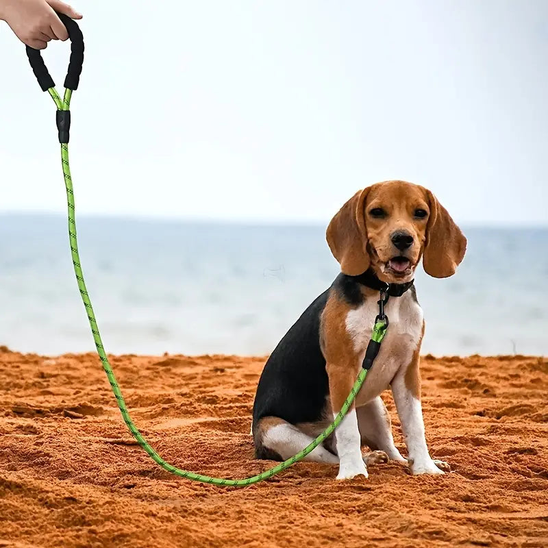 Correa para perro resistente 1.5 mts