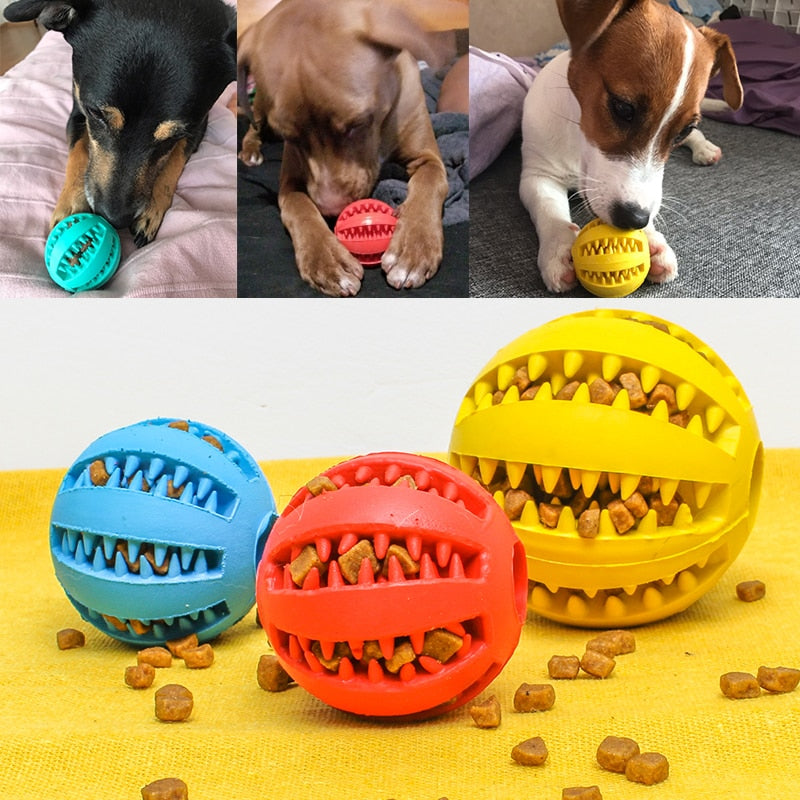 Pelota dispensador comida para perro