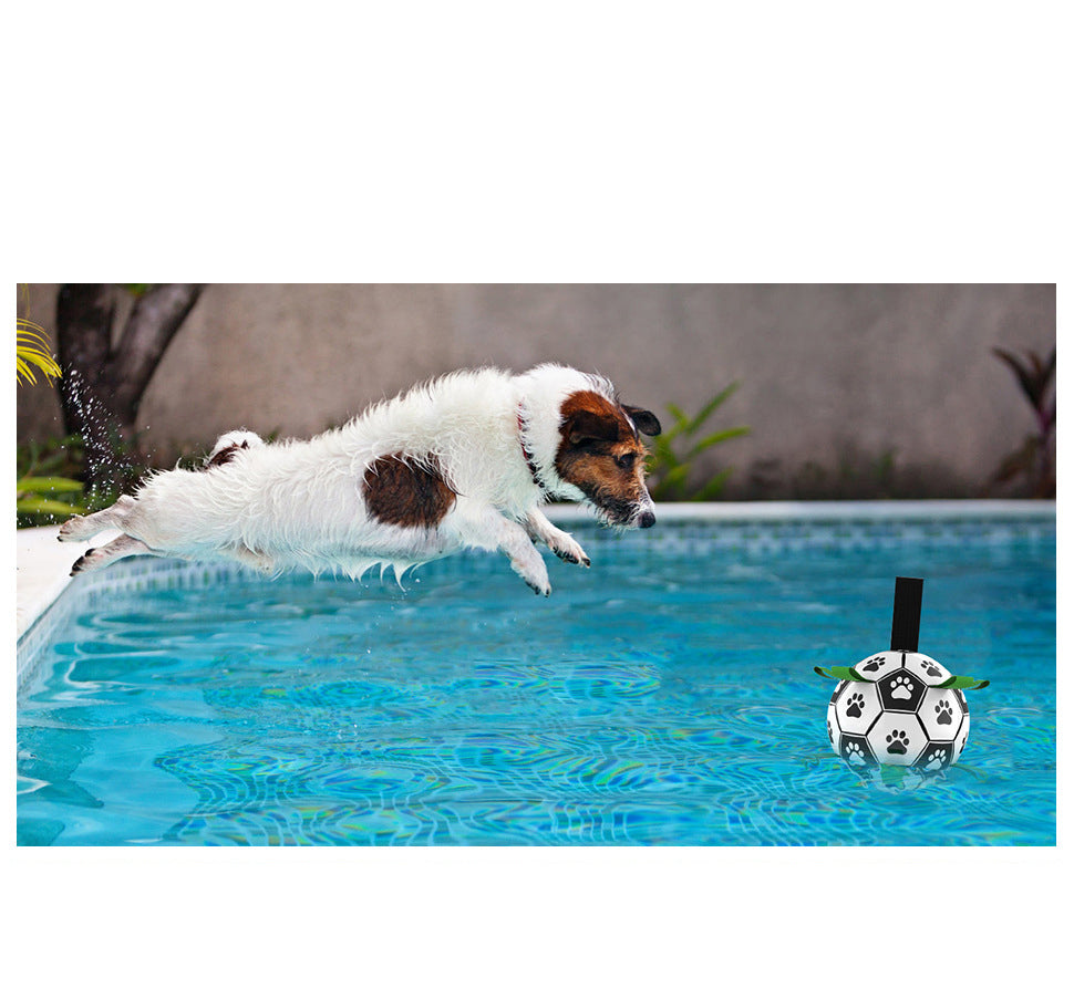 Pelota futbol perro con inflador